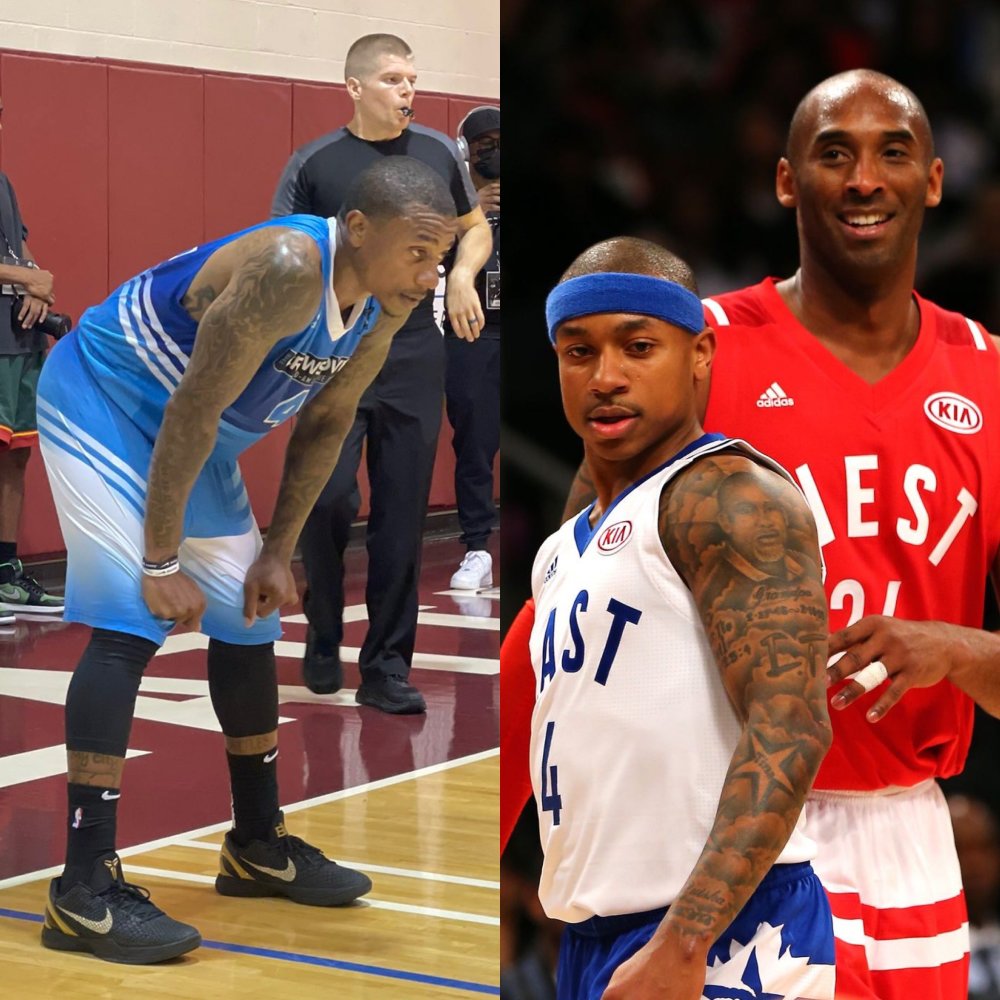 的防御能力 的防御能力